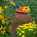 5LBGIM
