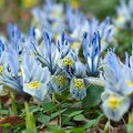 7DVJGE