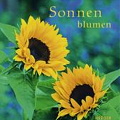 Sonnenblumen_Herder